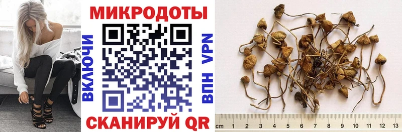 Галлюциногенные грибы MAGIC MUSHROOMS  Киреевск 